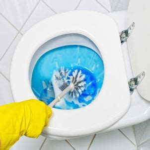 Dirty Toilet Bowl Cleaning Tips | Merry Maids