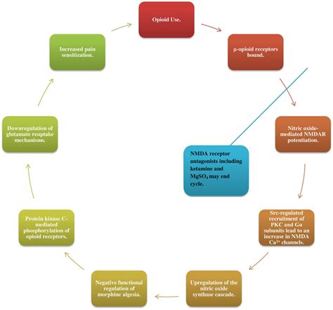 Frontiers | Opioid-induced hyperalgesia in chronic pain patients and ...