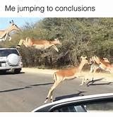 Jumping to conclusions Memes