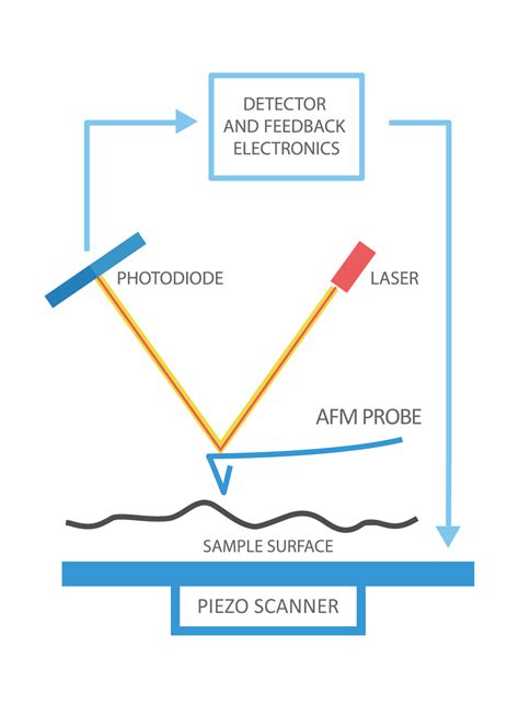 Atomic Force Microscope Definition - MeaningKosh