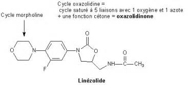 ZYVOXID* (Linézolide) – Pharmacorama