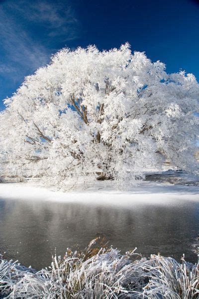 'New Zealand' by Danita Delimont | Winter scenery, Winter scenes ...