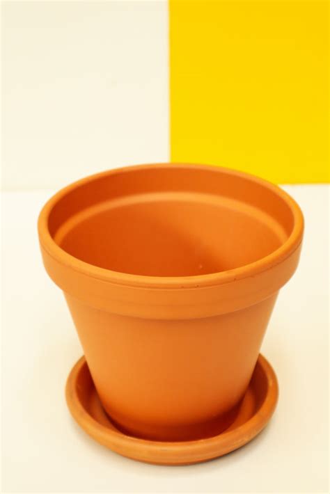 Terracotta Pots and Saucers | Indoor Plant Accessories – Happy Life Plants