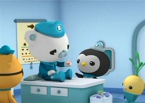 Image - Captain Barnacles gets Stunged.png | Octonauts Wiki | Fandom powered by Wikia