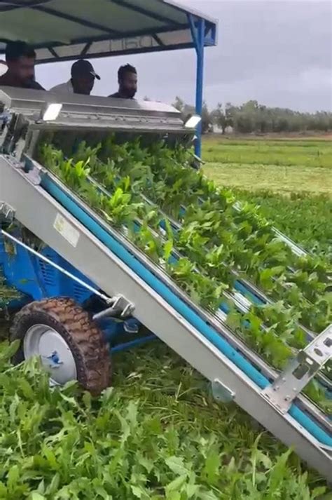 Harvesting machines for both protected and open field crops