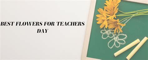 12 Best Flowers for Teacher’s Day | Ode a la Rose