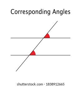 Corresponding Angles Angles Parallel Lines Geometry Stock Vector (Royalty Free) 1838912665 ...