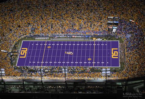 Pin by Isaac Adamson on LSU IS BEAST | Lsu, Lsu tiger stadium, Lsu football