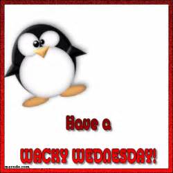 Woddle GIF - Penguin Wednesday WackyWednesday - Discover & Share GIFs