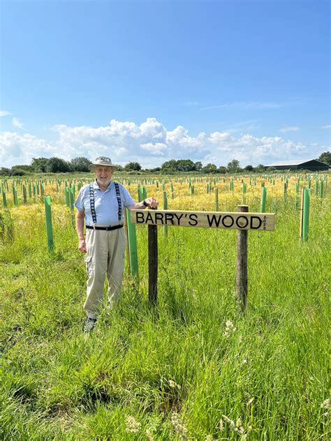 Exciting new woodland planted at Southwood Garden Centre