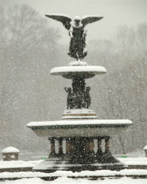 Photo entry: Snow Angel