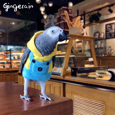 Gingerain Bird clothes Parrot clothes Yellowish Dave original hand made custom bird clothes ...