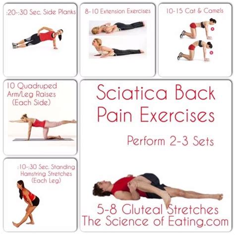 Acute back pain or Sciatica or both?? Need help. Fit people chime in | Back pain exercises ...