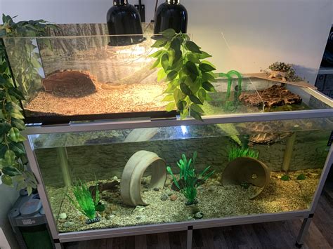 Turtle Aquarium / Turtle Tank / Aquaterrarium. : r/Aquariums