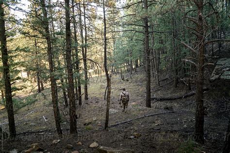 "Elk Hunting In Colorado" by Stocksy Contributor "Terry Schmidbauer ...