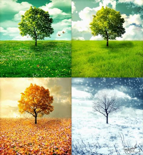 Memorable Scenes: Winter, Spring, Summer, Or Fall