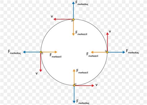 Free Body Diagram For Circular Motion