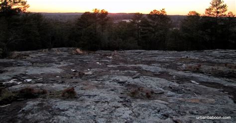 The Urban Baboon: Panola Mountain