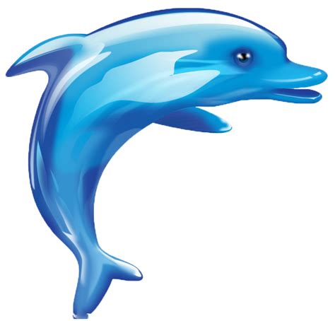 Dolphin Cartoon Cuteness - dolphin,animal,lovely png download - 834*800 - Free Transparent ...