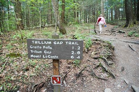 Beginner Guide to Smoky Mountains Hiking | Trails, Safety, and More