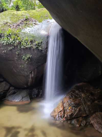 Tijuca Forest´s hike: caves, waterfalls and great views | GetYourGuide