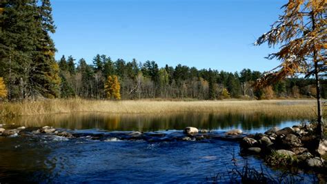 Lake and Shore at lake Itasca state park, Minnesota image - Free stock ...