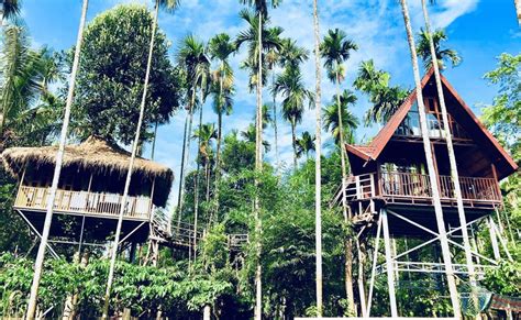 Treehouse In Wayanad: A Riverside Stay Into The Woods