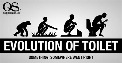 From History to the Evolution Of Toilet | QS Supplies