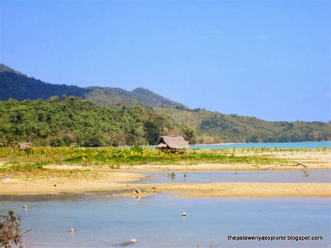 Tumarbong ROXAS, PALAWAN | The Palaweña Explorer