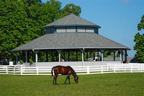 Horse Capital of the World – Sidelines Magazine