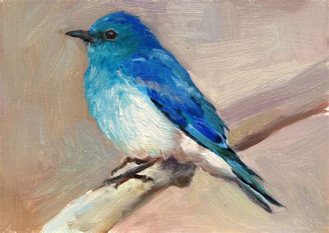 Mountain Bluebird II | Birds painting, Bird painting acrylic, Blue bird