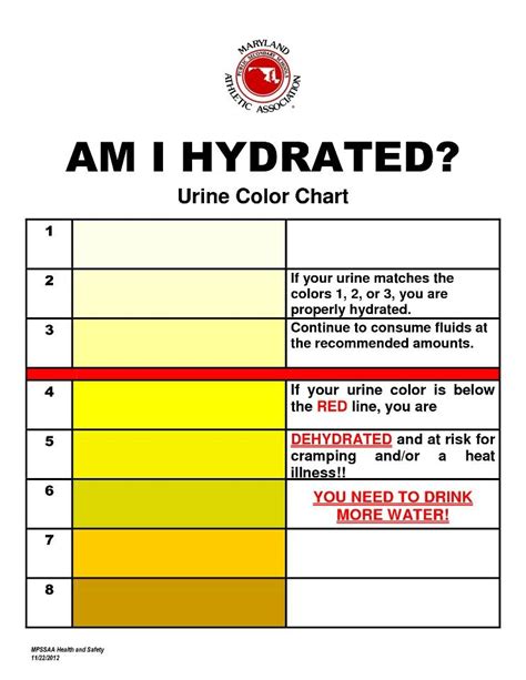 Printable Urine Hydration Chart