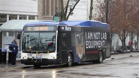 Local officials mull using Metro Transit buses for texting while ...