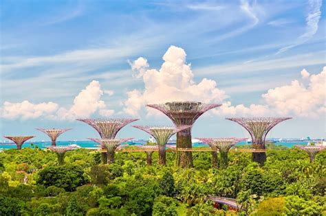 Premium Photo | Gardens by the Bay