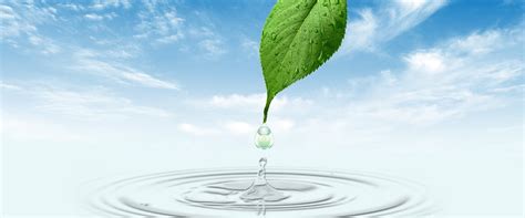 Water Conservation Environmental Protection Poster Background Material ...