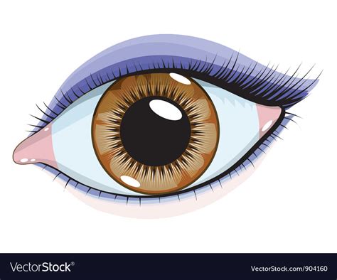 Beautiful eye Royalty Free Vector Image - VectorStock