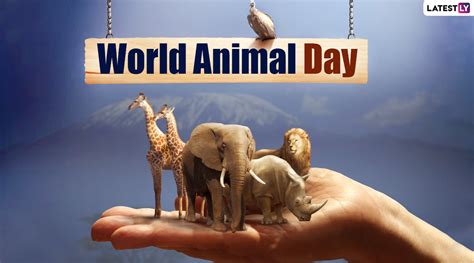 World Animal Day 2021 - Photos All Recommendation