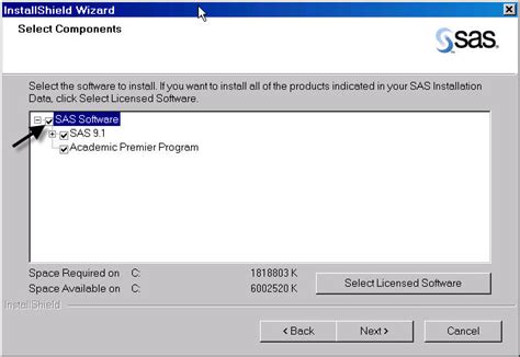 Installing SAS for Windows SAS 9.1 Installation Guidelines Standard and Lite Installation