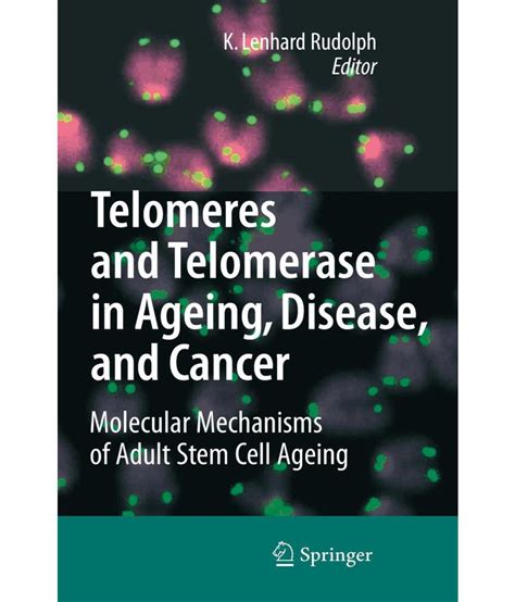 Telomeres and Telomerase in Aging, Disease, and Cancer: Molecular ...