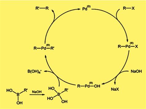 Suzuki Coupling - Kemicalinfo