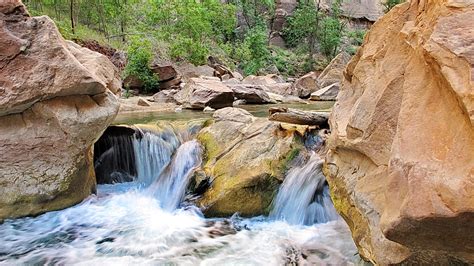 Virgin River along Riverside Walk Trail approaching The Na… | Flickr