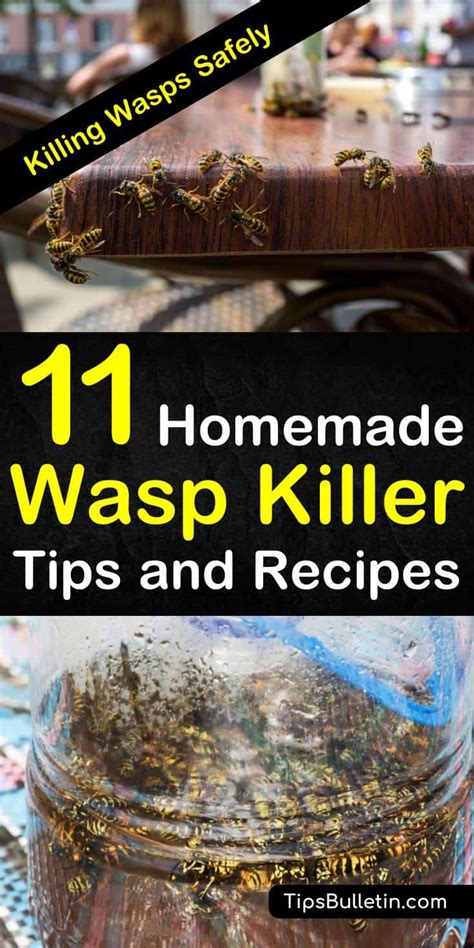 Killing Wasps Safely - 11 Homemade Wasp Killer Tips and Recipes