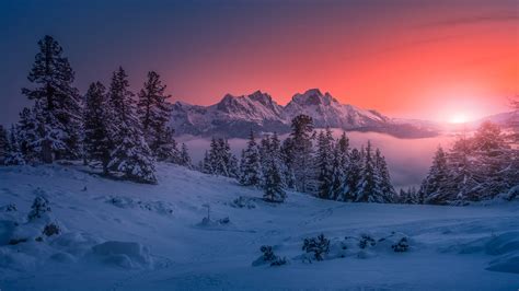 Wallpaper : winter, forest, nature, sunset, snow 1920x1080 - Brokenvegetable - 1762561 - HD ...