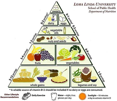 The Vegetarian Food Pyramid | Planning Healthy Meals