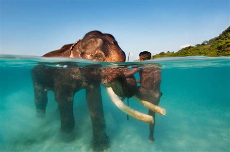 Exotic India – Timeless Destinations