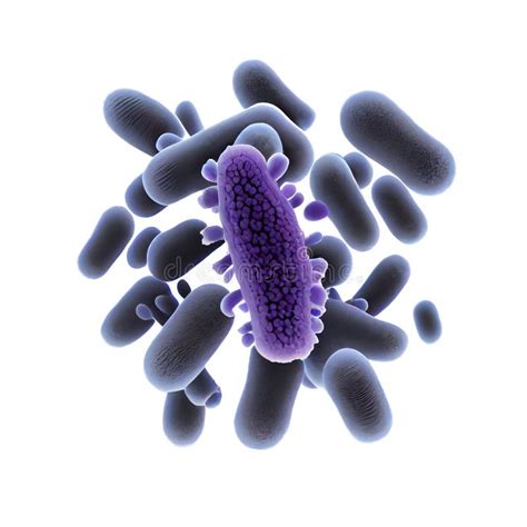 Pseudomonas Aeruginosa Bacteria Rod-shaped Purple Bacteria. Pathogenic Microflora Biologically ...