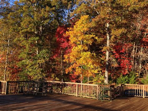 Fall in the North Georgia mountains! October, 2014. | Georgia mountains ...