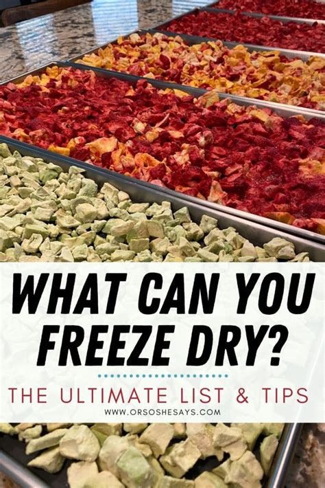 Foods You Can Put In Your Freeze Dryer ~ The Ultimate List & Tips - Or ...