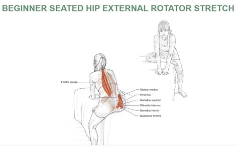 Obturator Internus Muscle Stretch