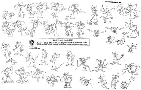 nysden: “ Pinky and the Brain model sheets. ” | Brain models, Animaniacs, Expression sheet